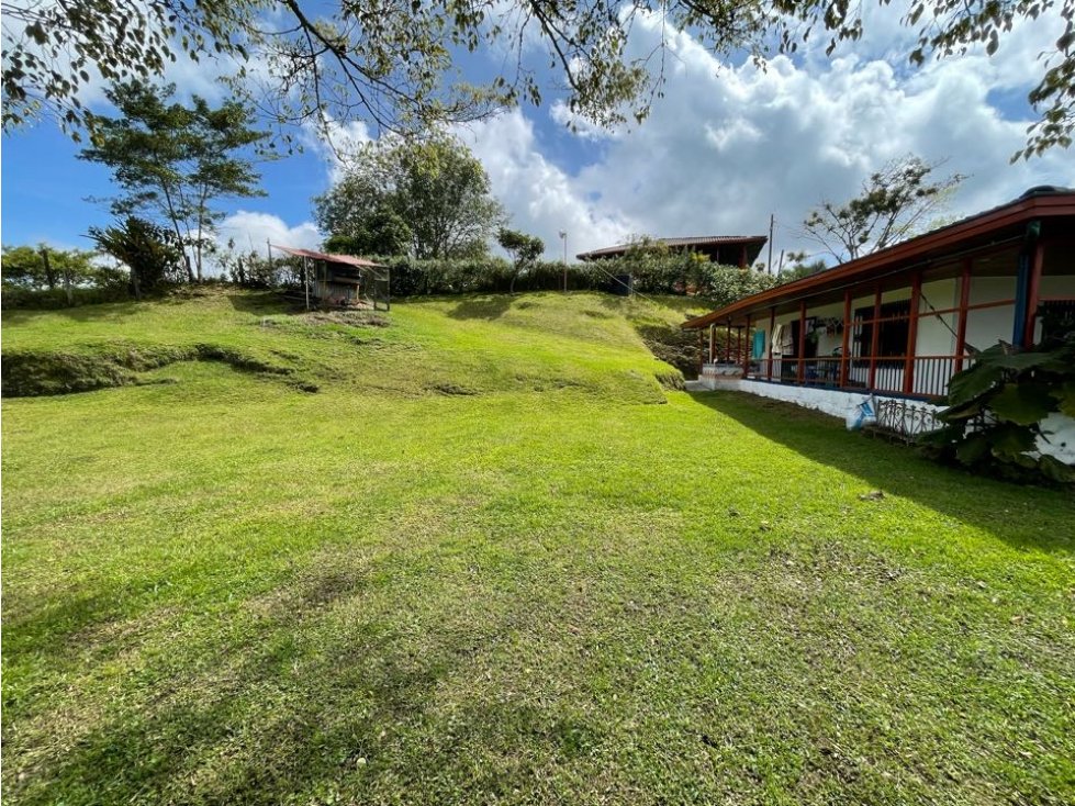 EN VENTA FINCA SOBRE VIA PRINCIPAL ARMENIA PEREIRA — foto 4