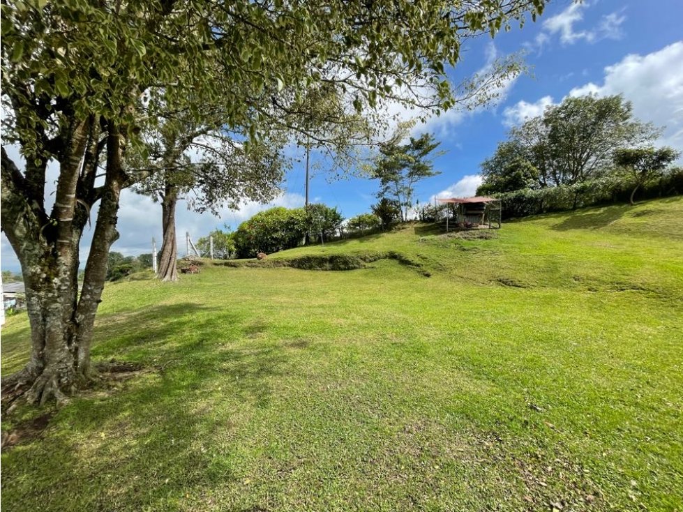 EN VENTA FINCA SOBRE VIA PRINCIPAL ARMENIA PEREIRA — foto 5
