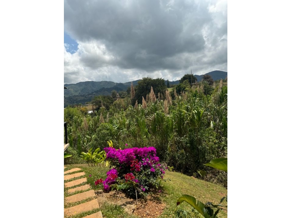 SE VENDE FINCA RECREATIVA EN TOCOTA - DAGUA (VALLE) - 5