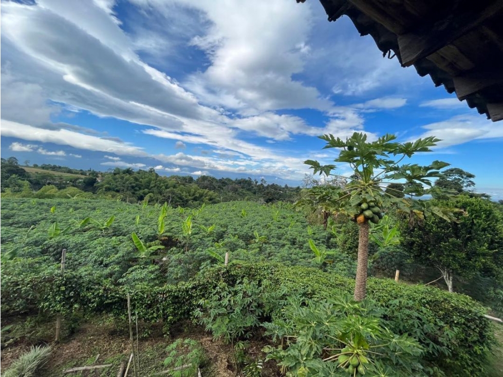 Se vende finca ubicada Circasia Montenegro Quindio — foto 3