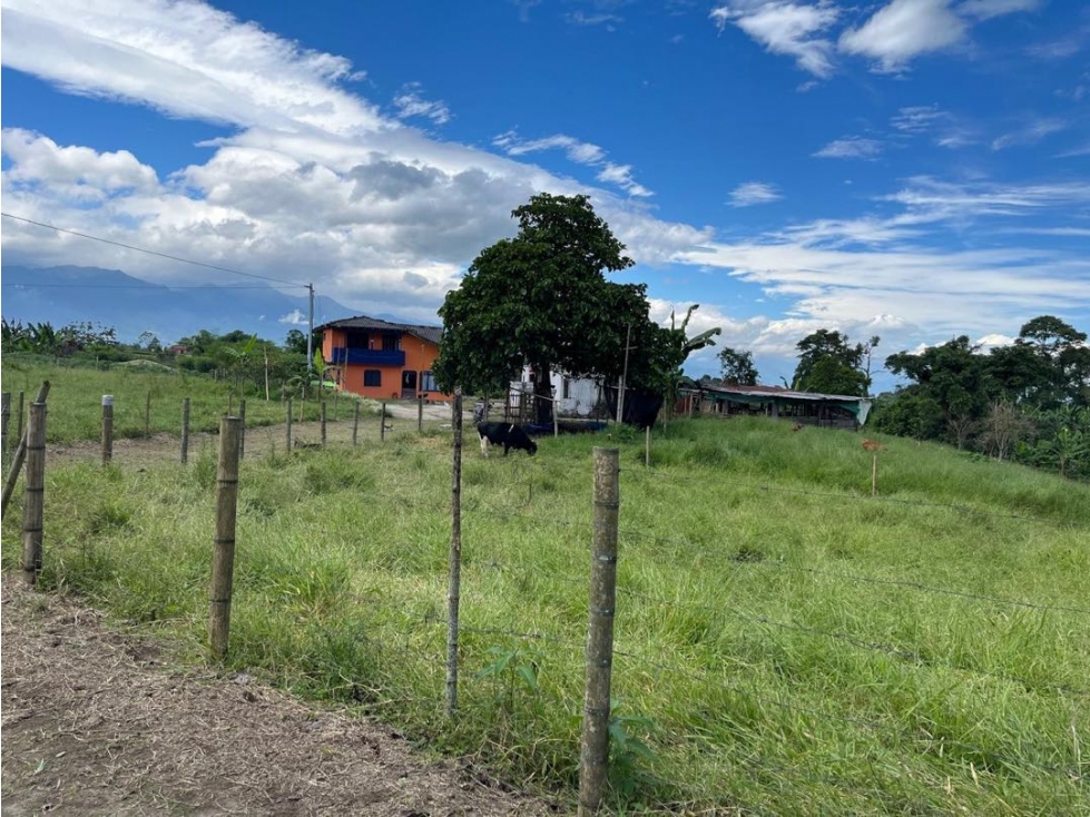 Se vende finca ubicada Circasia Montenegro Quindio — foto 6