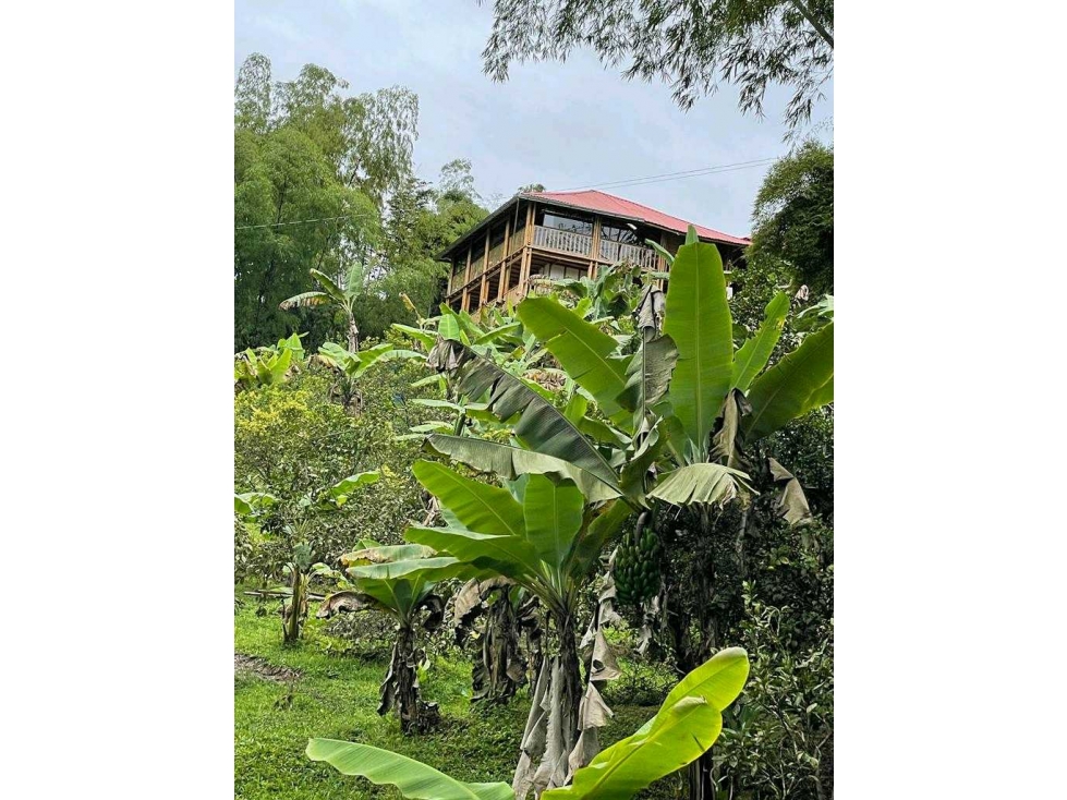 Se Vende Finca vía La Mesa Cundi - 3