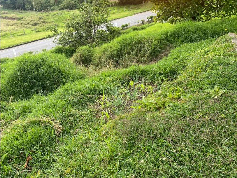 Se vende Finca vía Pereira — foto 2
