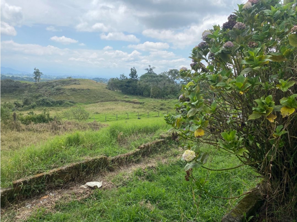 Se vende Finca vía Pereira — foto 6