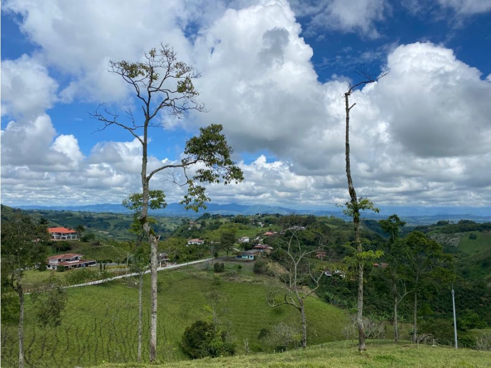 Se vende finca Vereda Arabia Pereira — foto 4