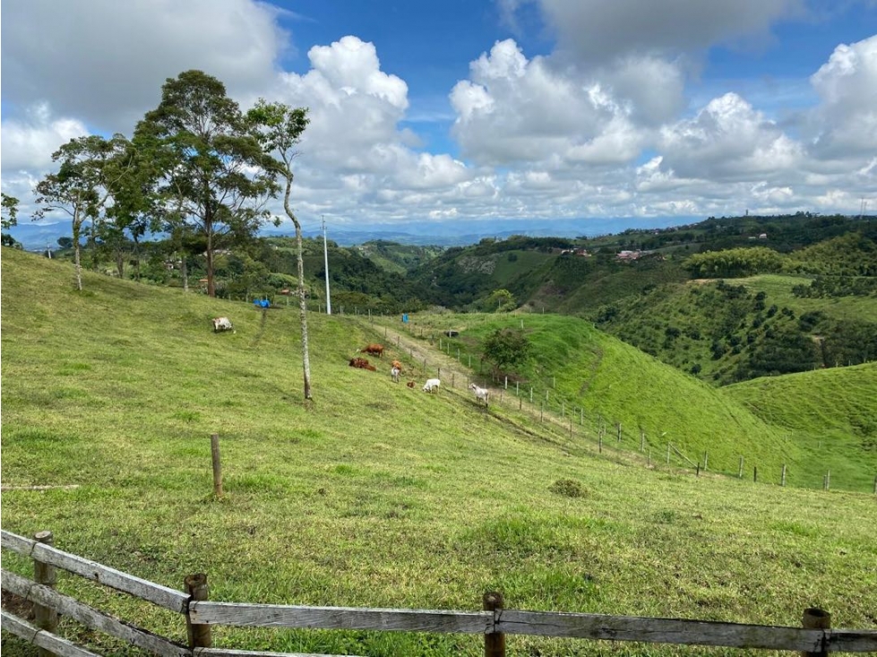 Se vende finca Vereda Arabia Pereira — foto 5