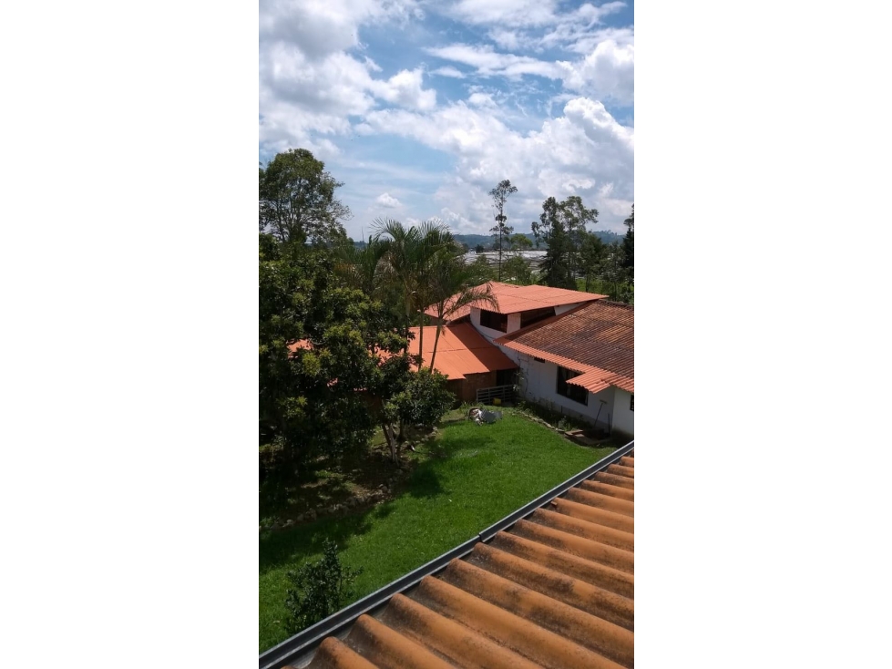 se vende finca vereda barcelona alta en circasia quindio