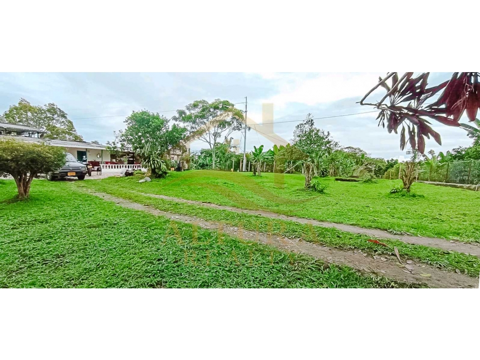 SE VENDE FINCA VIA CIRCASIA- MONTENEGRO — foto 5