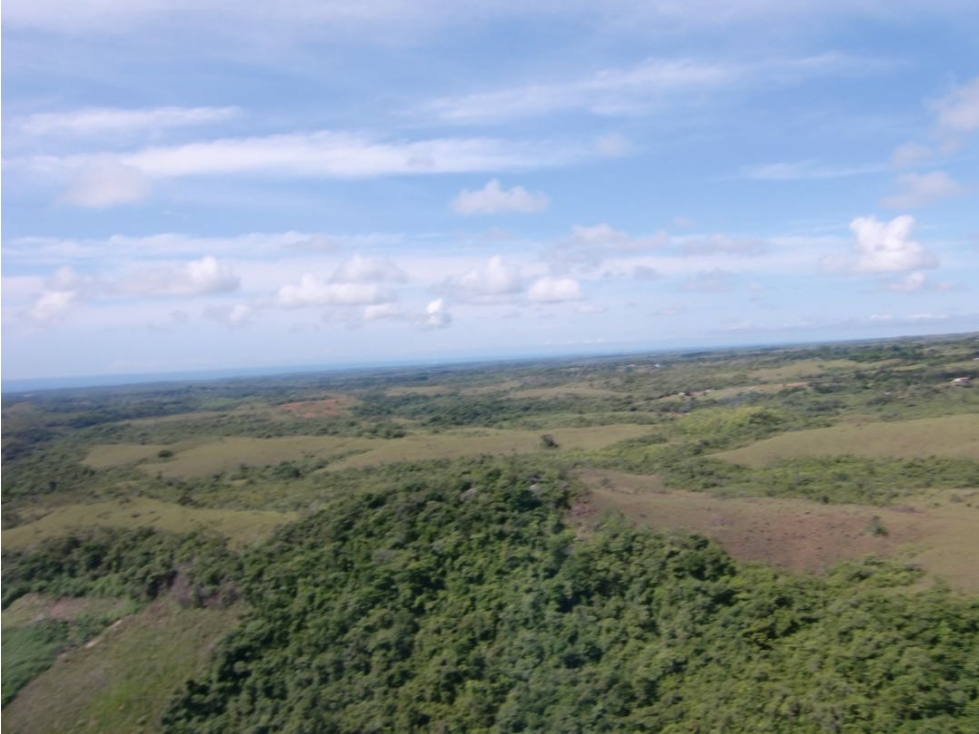 Se Venden Fincas adyacentes San Carlos potencial para desarrollo (LM) — foto 5