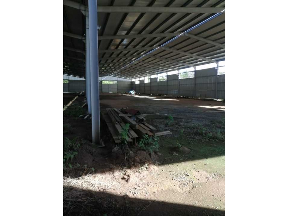 Se vende galera de 1600 mts en Anton/ cerca al Surtidor de Vaivén - 3