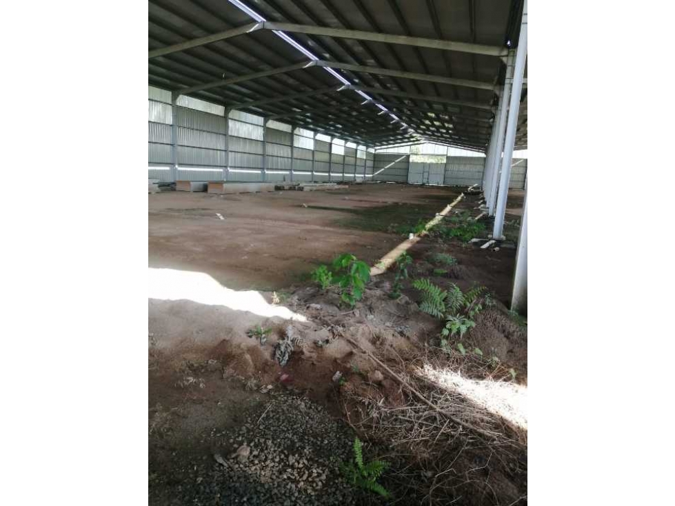 Se vende galera de 1600 mts en Anton/ cerca al Surtidor de Vaivén - 4