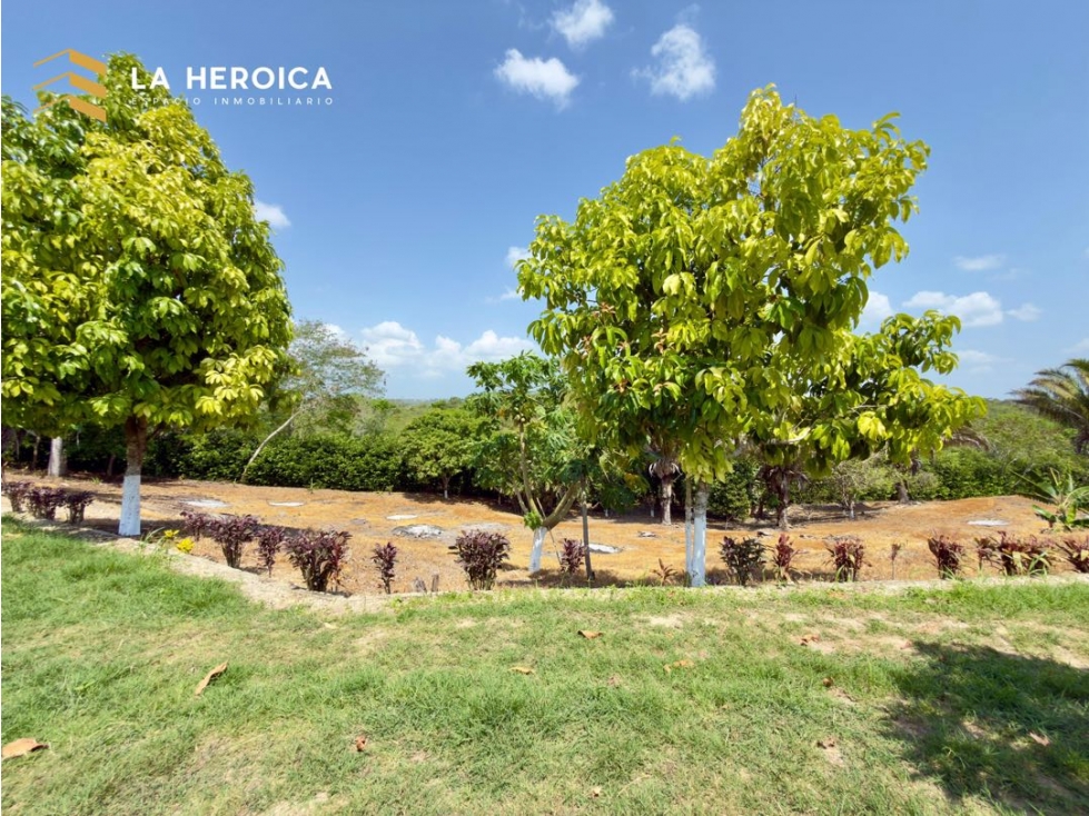 SE VENDE HACIENDA ENTRE TURBACO Y ARJONA - 5