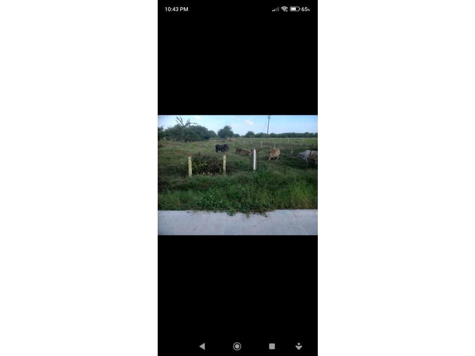 Se vende Hermosa Casa Finca a 5km de Ciénaga de Oro vía Sahagún — foto 3