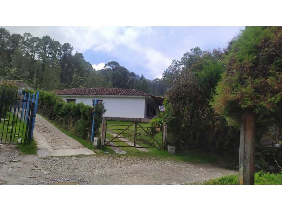 SE VENDE HERMOSA CASA FINCA EN LA VEREDA CAMPOALEGRE