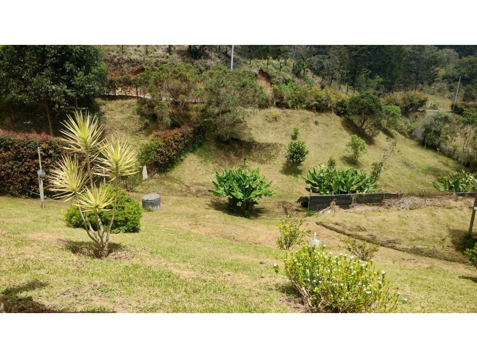 SE VENDE HERMOSA FINCA A 11 MIN DEL PARQUE DE SAN VICENTE - 4