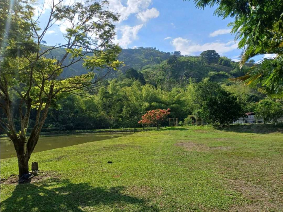 Se vende hermosa finca con piscícola, cítricos y ganado en la virginia - 5
