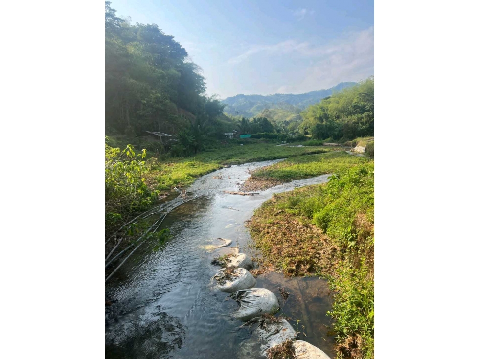 Se vende hermosa finca con piscícola, cítricos y ganado en la virginia - 6