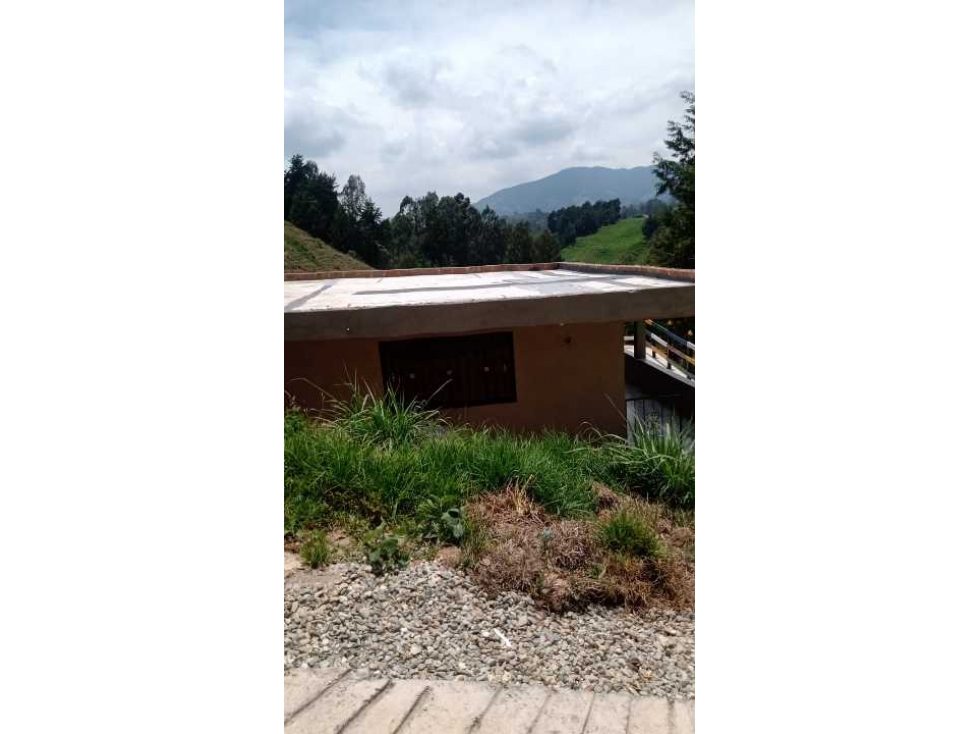 SE VENDE HERMOSA FINCA EN BELLO LA CHINA DE 2100 MTS PEDIDO 850 MILLON — foto 3
