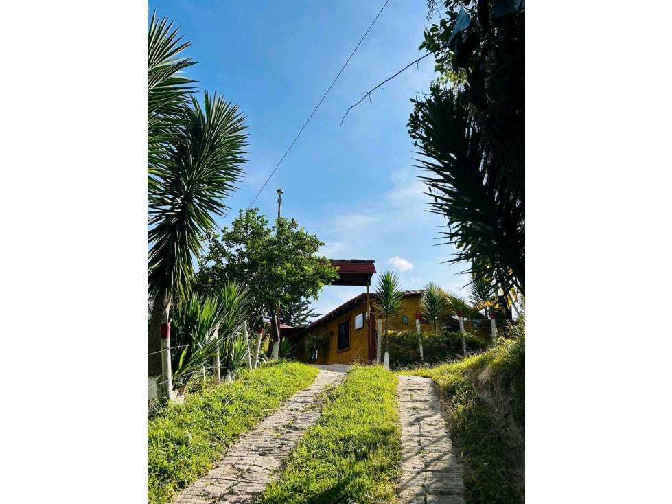 SE VENDE HERMOSA FINCA EN LA VEREDA CHACHAFRUTO BELLO OPCIÓN DE CAMBIO — foto 5