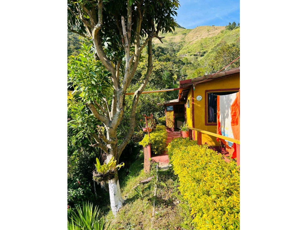 SE VENDE HERMOSA FINCA EN LA VEREDA CHACHAFRUTO BELLO OPCIÓN DE CAMBIO — foto 3