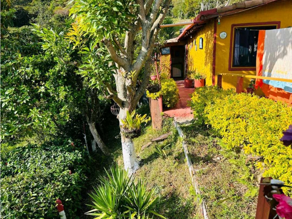SE VENDE HERMOSA FINCA EN LA VEREDA CHACHAFRUTO BELLO OPCIÓN DE CAMBIO — foto 4