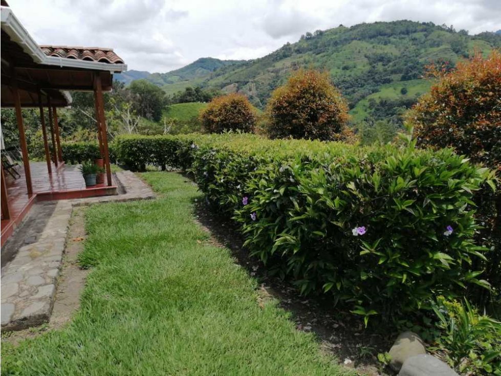 Se vende hermosa finca en Pacho C/marca muy cerca a la vía principal - 3