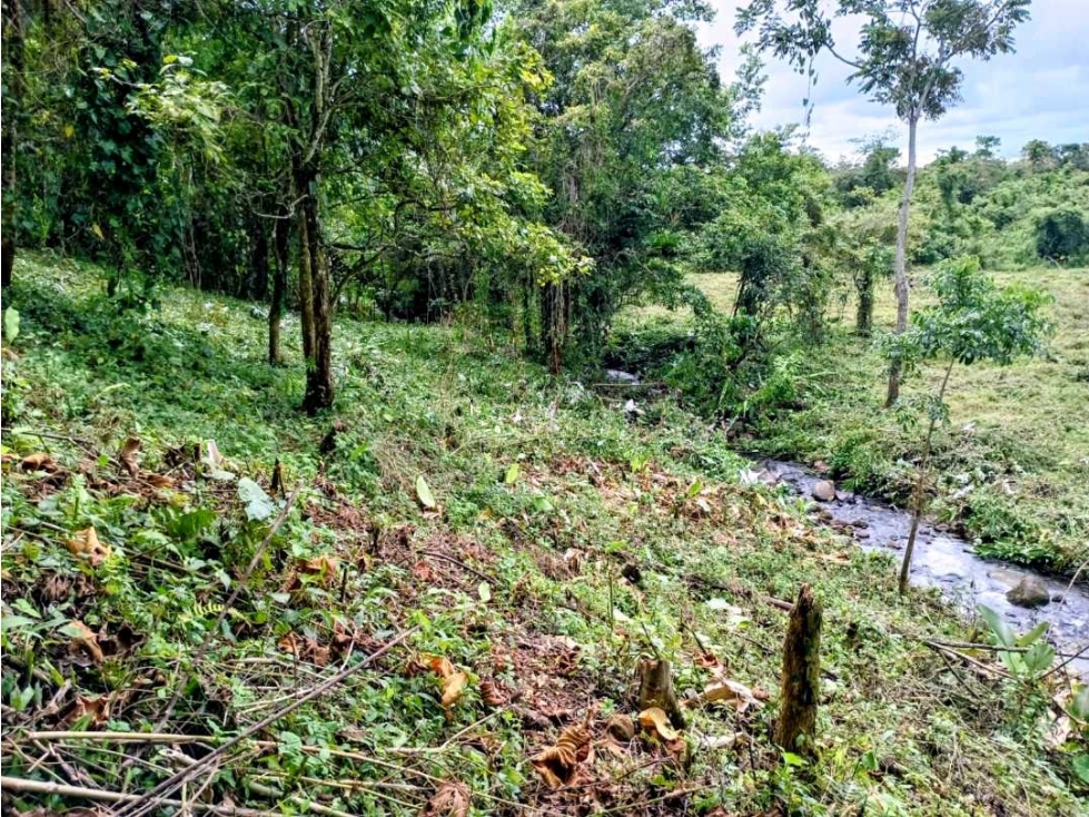 Se vende hermosa finca de 4.2 hectáreas en Meseta, Boquerón - 2