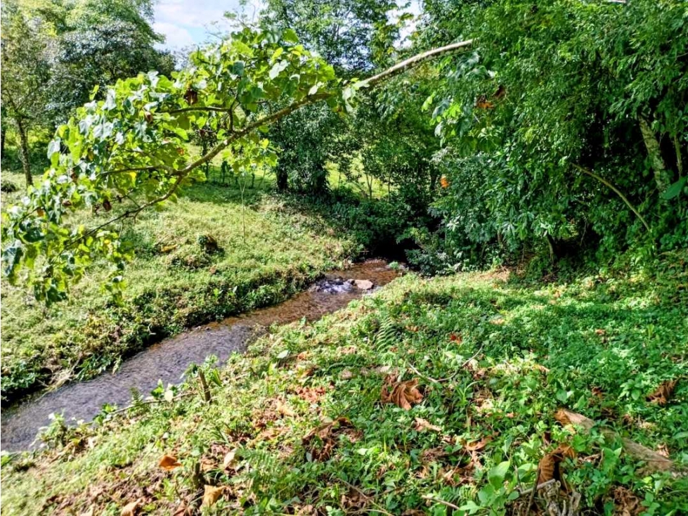 Se vende hermosa finca de 4.2 hectáreas en Meseta, Boquerón - 3