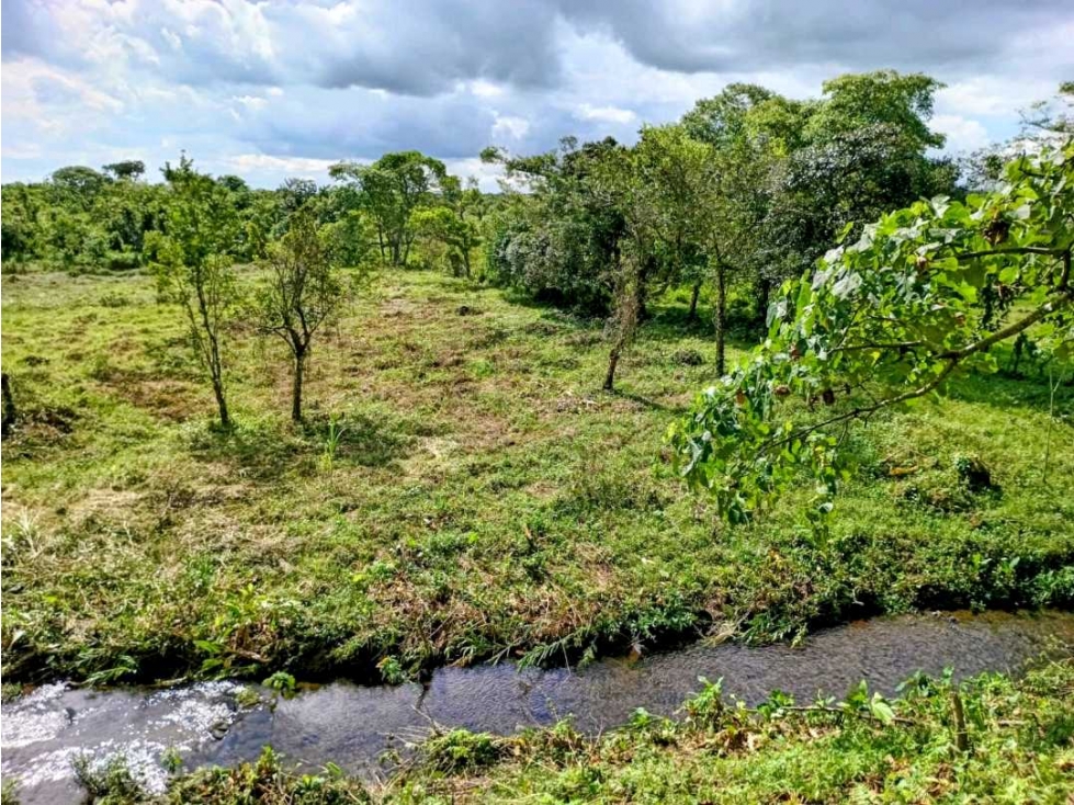 Se vende hermosa finca de 4.2 hectáreas en Meseta, Boquerón - 4