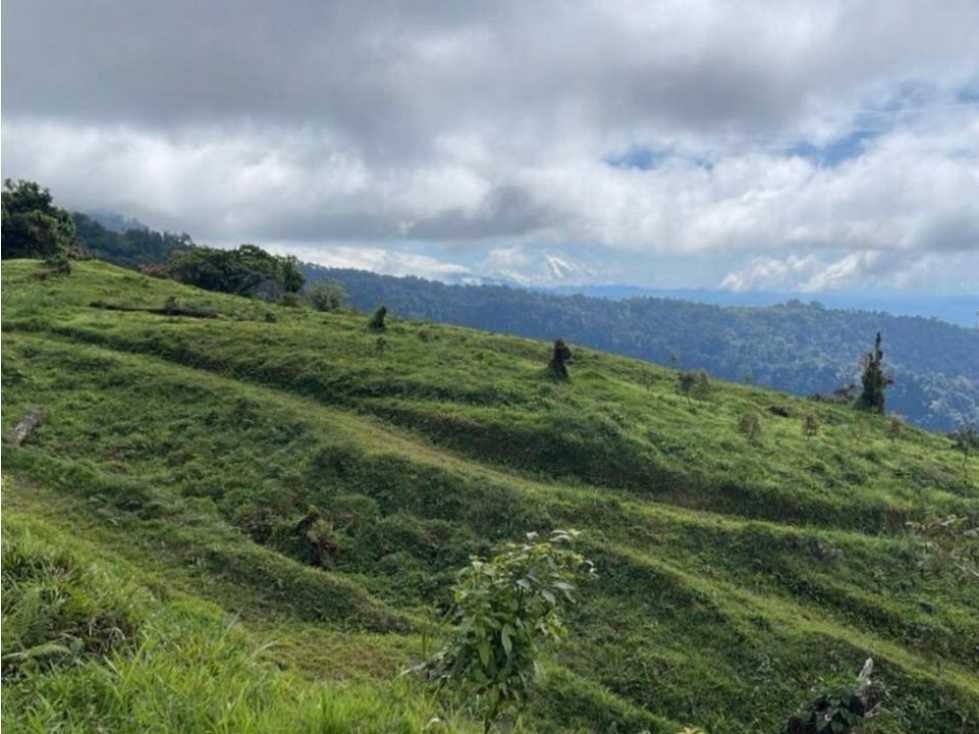 Se Vende Hermosa Hacienda Cafetera en Chiriquí - 2