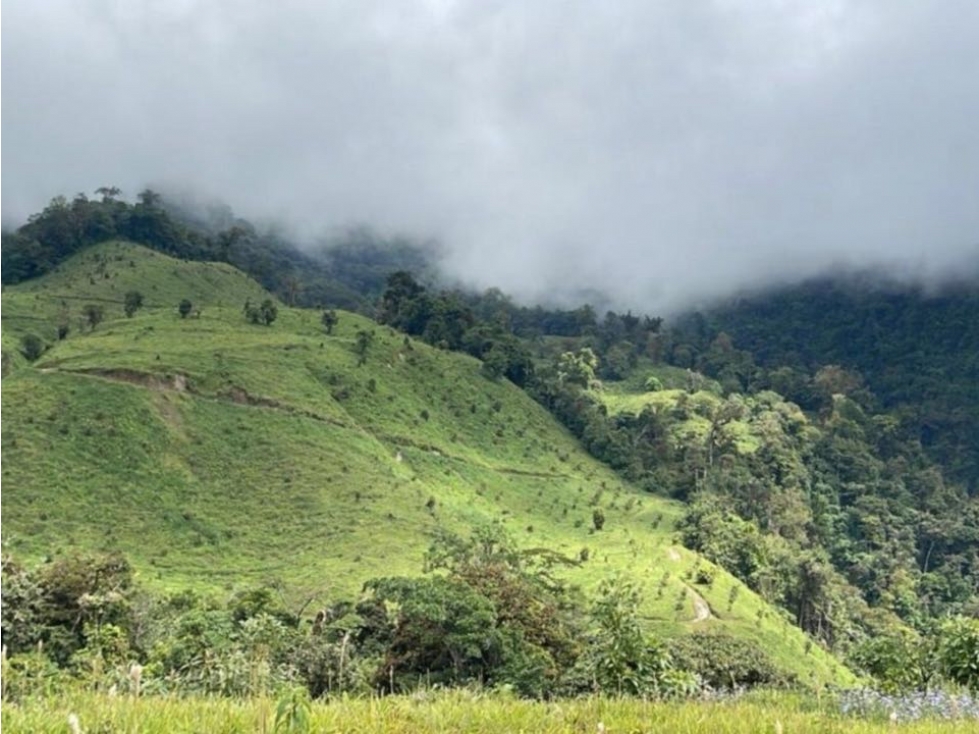 Se Vende Hermosa Hacienda Cafetera en Chiriquí - 3