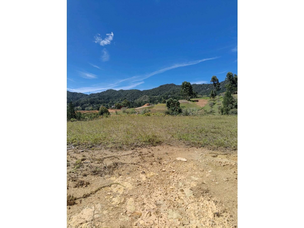 SE VENDE HERMOSO LOTE EN PARCELACIÓN EN LA CEJA,RESERVA SILVESTRE. — foto 5