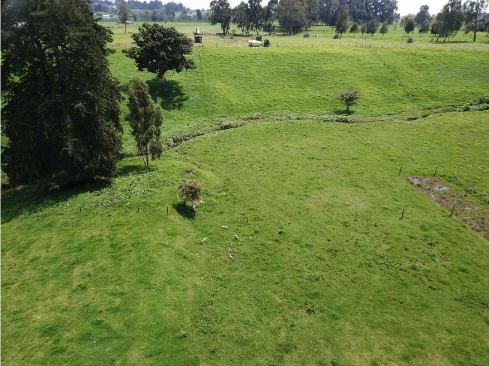 SE VENDE HERMOSO LOTE EN SAN PEDRO DE LOS MILAGROS EN LLANO DE OVEJAS — foto 2