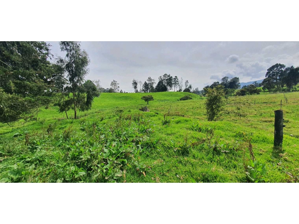 SE VENDE HERMOSO LOTE EN SAN PEDRO DE LOS MILAGROS EN LLANO DE OVEJAS — foto 6