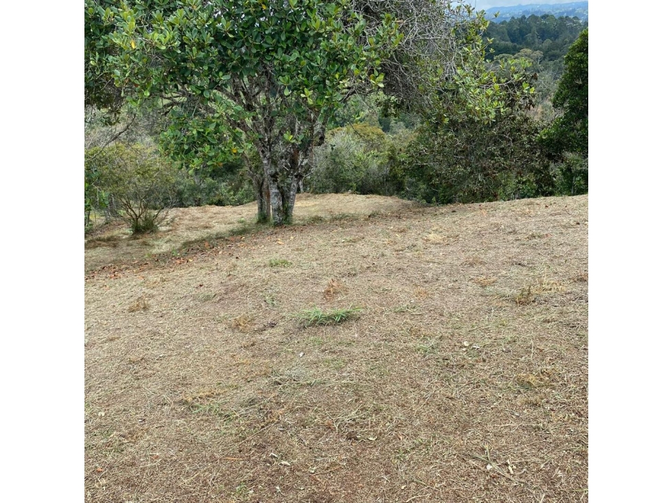 Se vende hermoso lote independiente en Rionegro vereda la convención — foto 5