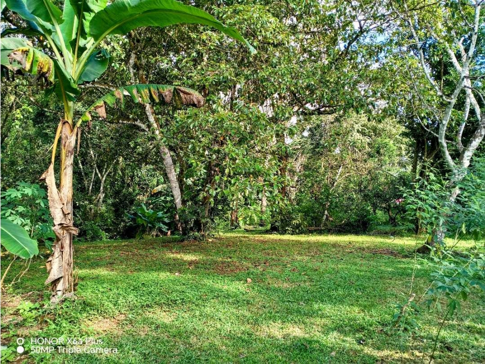 Se vende hermoso lote para construir en Las Lomas, David! - 1