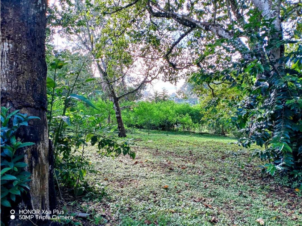 Se vende hermoso lote para construir en Las Lomas, David! - 2
