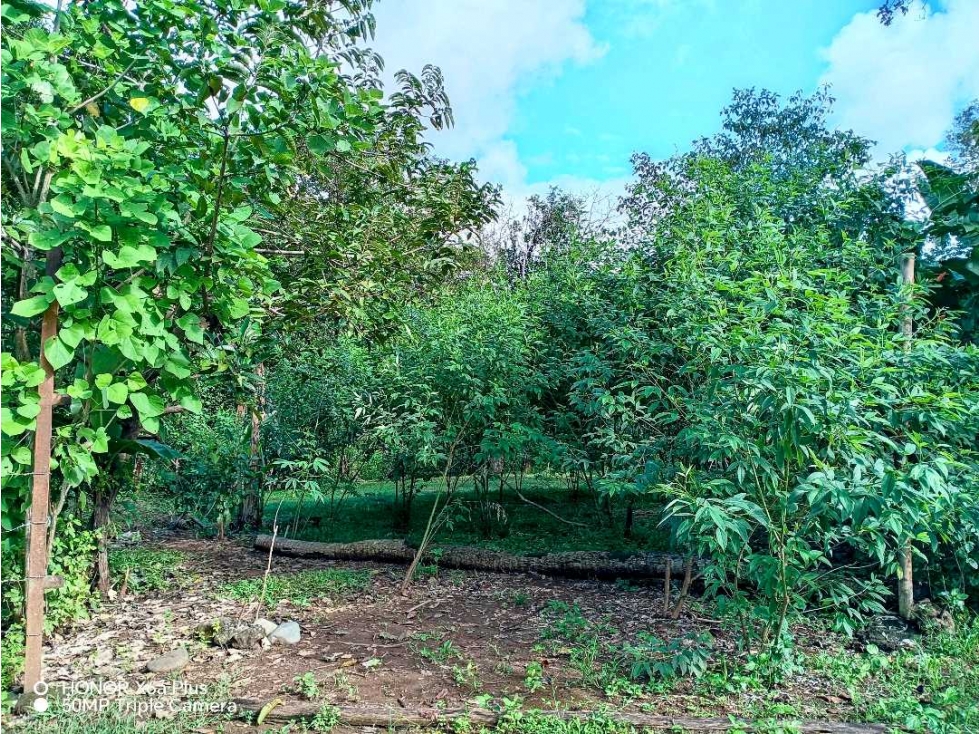 Se vende hermoso lote para construir en Las Lomas, David! - 3