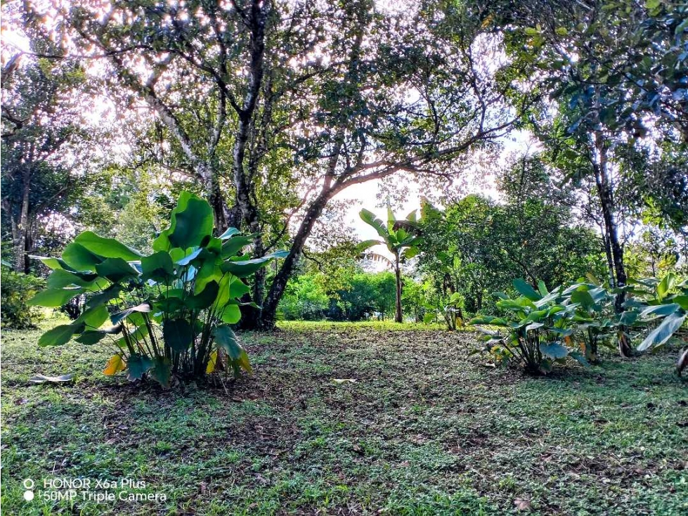 Se vende hermoso lote para construir en Las Lomas, David! - 4