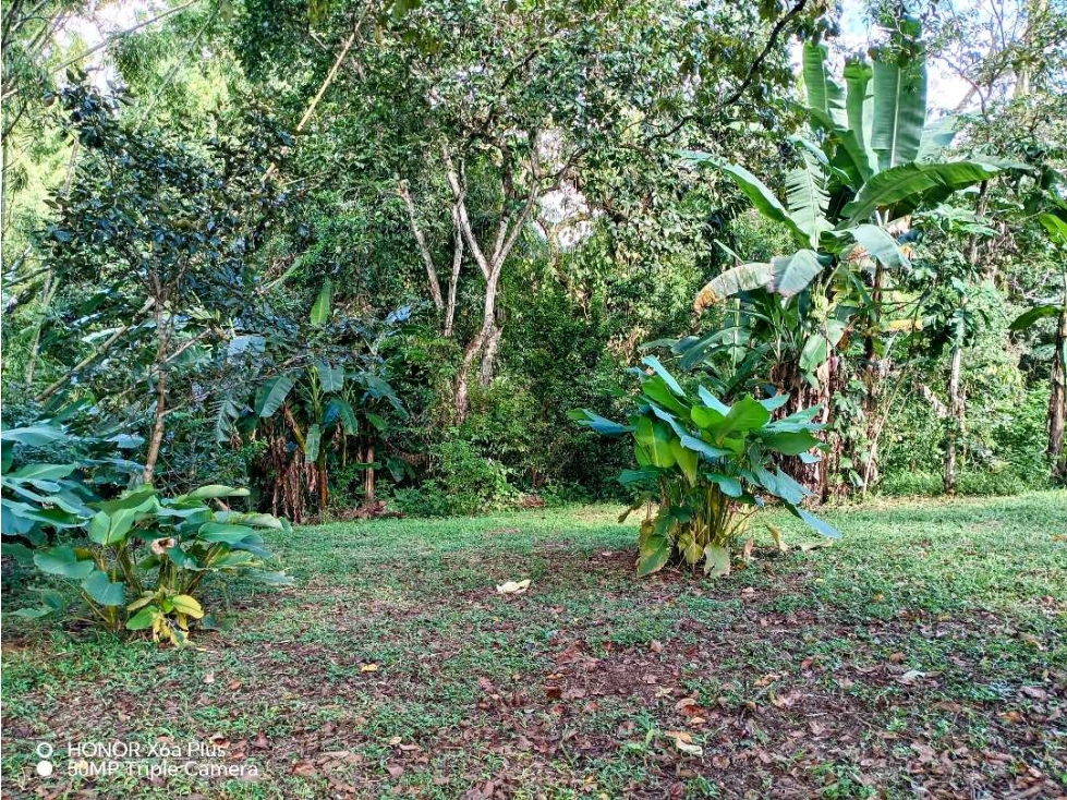 Se vende hermoso lote para construir en Las Lomas, David! - 5