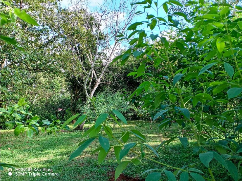 Se vende hermoso lote para construir en Las Lomas, David! - 6