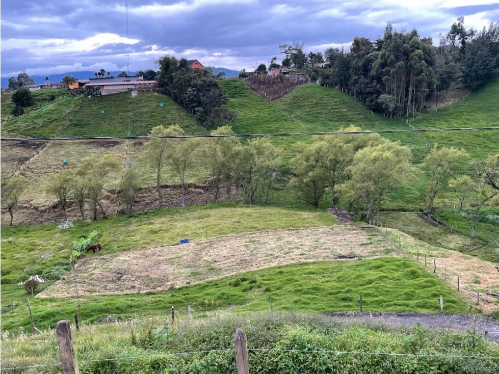 SE VENDE HERMOSO LOTE PLANO 2600 MTS EN SAN PEDRO VEREDA EL TAMBO