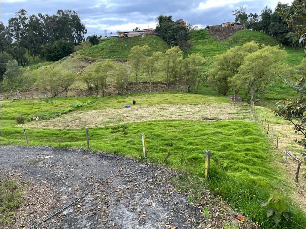 SE VENDE HERMOSO LOTE PLANO 2600 MTS EN SAN PEDRO VEREDA EL TAMBO — foto 2