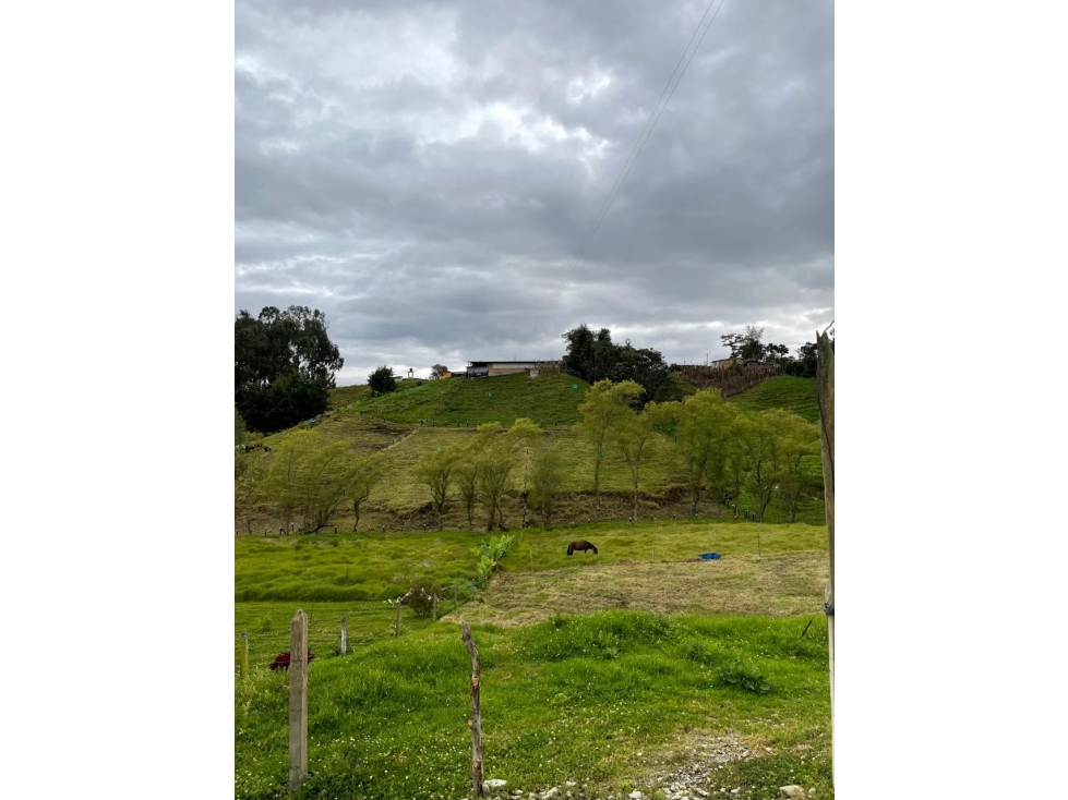 SE VENDE HERMOSO LOTE PLANO 2600 MTS EN SAN PEDRO VEREDA EL TAMBO — foto 3