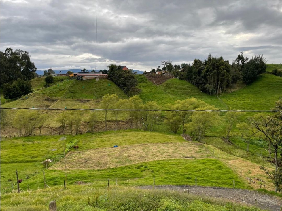 SE VENDE HERMOSO LOTE PLANO 2600 MTS EN SAN PEDRO VEREDA EL TAMBO — foto 5