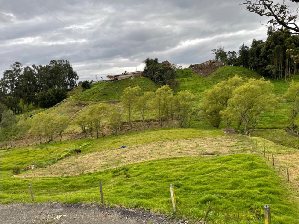 SE VENDE HERMOSO LOTE PLANO 2600 MTS EN SAN PEDRO VEREDA EL TAMBO — foto 6