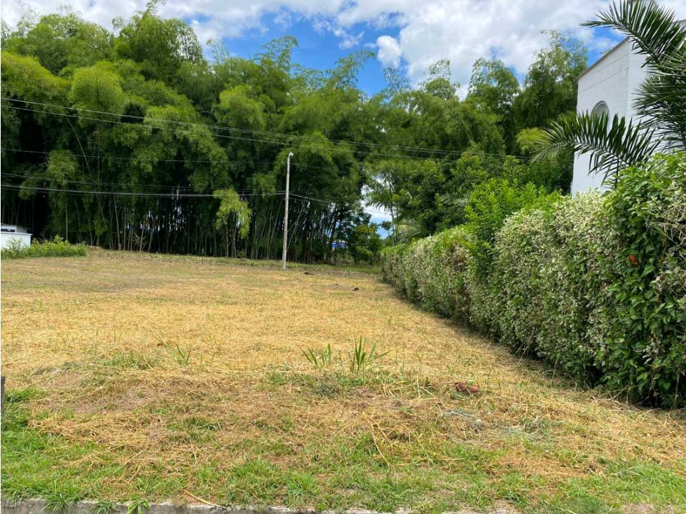 Se vende lote plano en el sector del caimo, Armenia, Quindio — foto 3