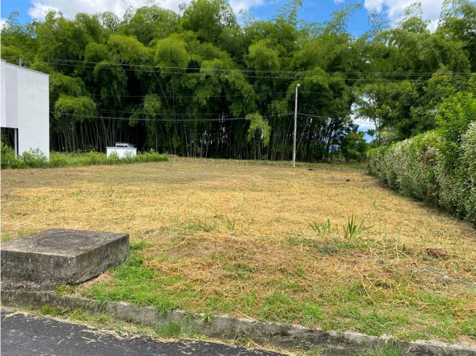 Se vende lote plano en el sector del caimo, Armenia, Quindio — foto 4