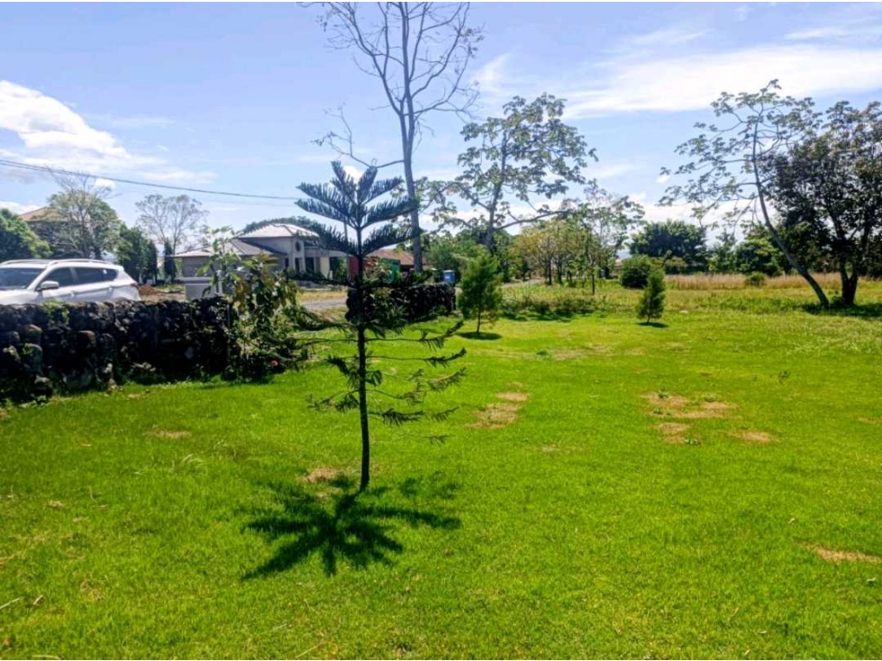 Se vende hermoso terreno de 1,000 mtrs en El Frances, Alto Boquete