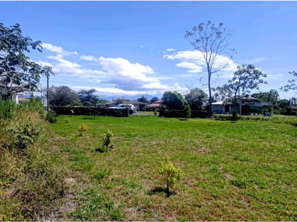 Se vende hermoso terreno de 1,000 mtrs en El Frances, Alto Boquete — foto 5